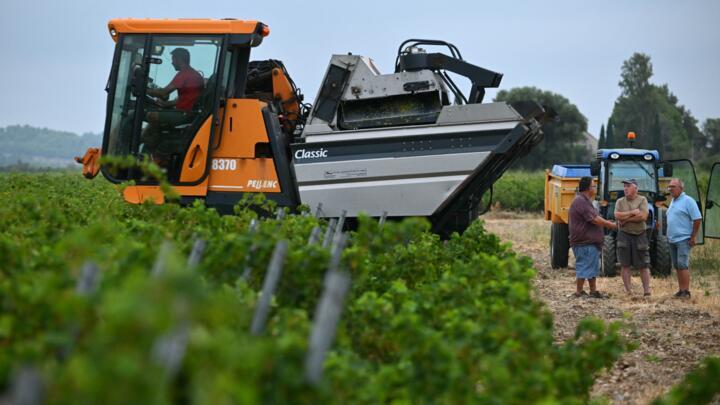 Winemaker Alain Gleyzes (R) speaks with other farmers during a wine grape harvest in La Palme, southern France on July 30, 2026.