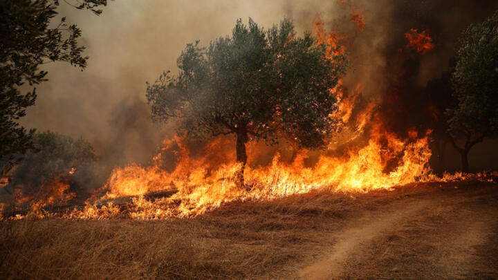 This photo shows a wildfire burning trees in Viotia region, west of Athens, on August 2, 2026.