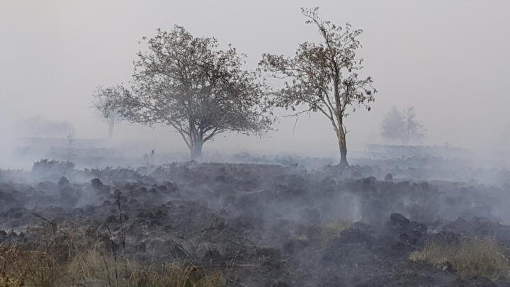 This photograph shows trees amid smoke billowing from a scorched area during a wildfire in the Hautes Fagnes (High Fens) nature reserve in Jalhay on August 15, 2026.