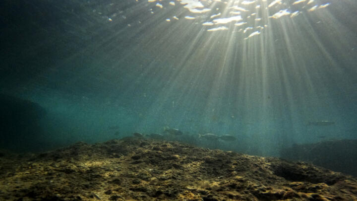 [File photo] Fish swim in the Mediterranean Sea in the Gador sea reserve in Hadera, northern Israel, on October 29, 2022