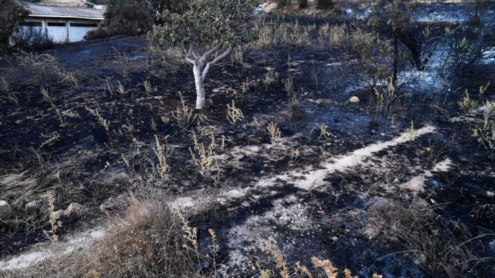 A charred landscape lines the hillside after a fire in Hammam Melouane, Algeria.