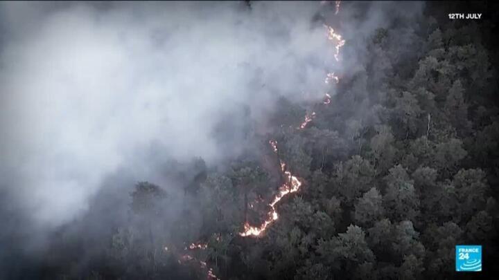 France's Fontainebleau forest reopens one month after wilfire
