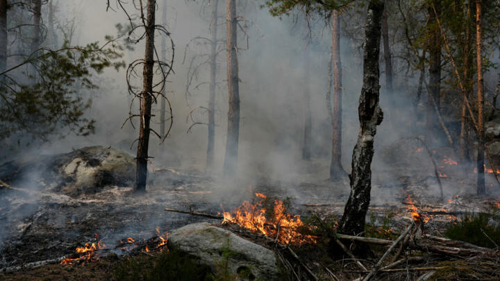 This photograph shows fire burning through the undergrowth during a fire in the Fontainebleau Forest, in Noisy-sur-Ecole, in the Paris' Ile-de-France region on July 14, 2026.