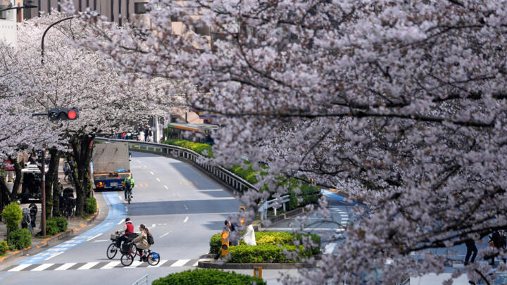 People cross a street under a canopy of cherry blossoms in Tokyo, Japan, March 28, 2026. 