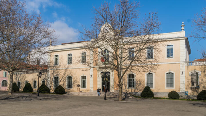 Alès Mayor Christophe Rivenq was whisked away over fears of an imminent attack.